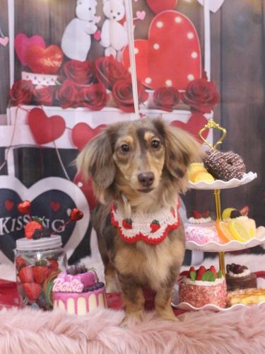 20250228エマちゃん